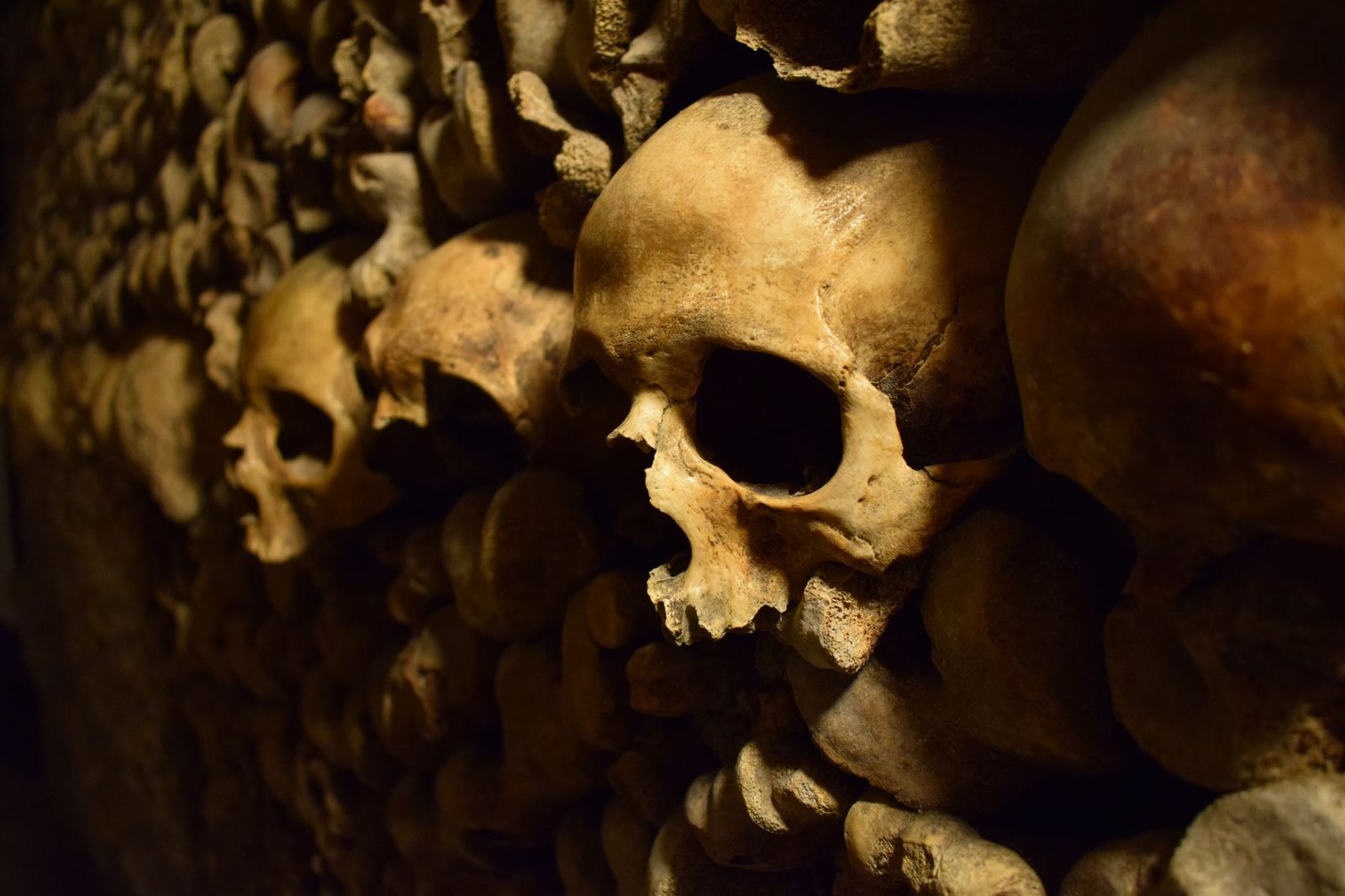 Catacumbas de Paris: Vale a Pena Visitar o Cemitério Subterrâneo? 4 Close-up de crânios empilhados nas Catacumbas de Paris