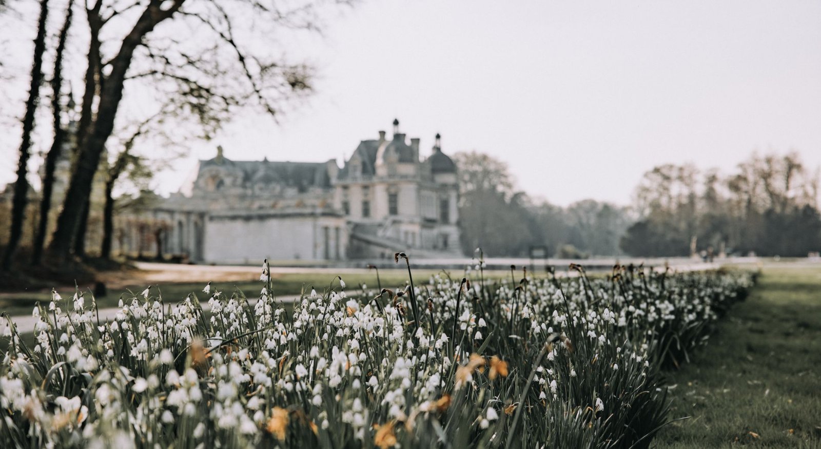Castelo de Chantilly: Guia Completo do Bate-volta de Paris 1 Vista do Castelo de Chantilly com flores da primavera no jardim e o château ao fundo