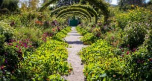 Jardins coloridos de Giverny com flores e ponte japonesa