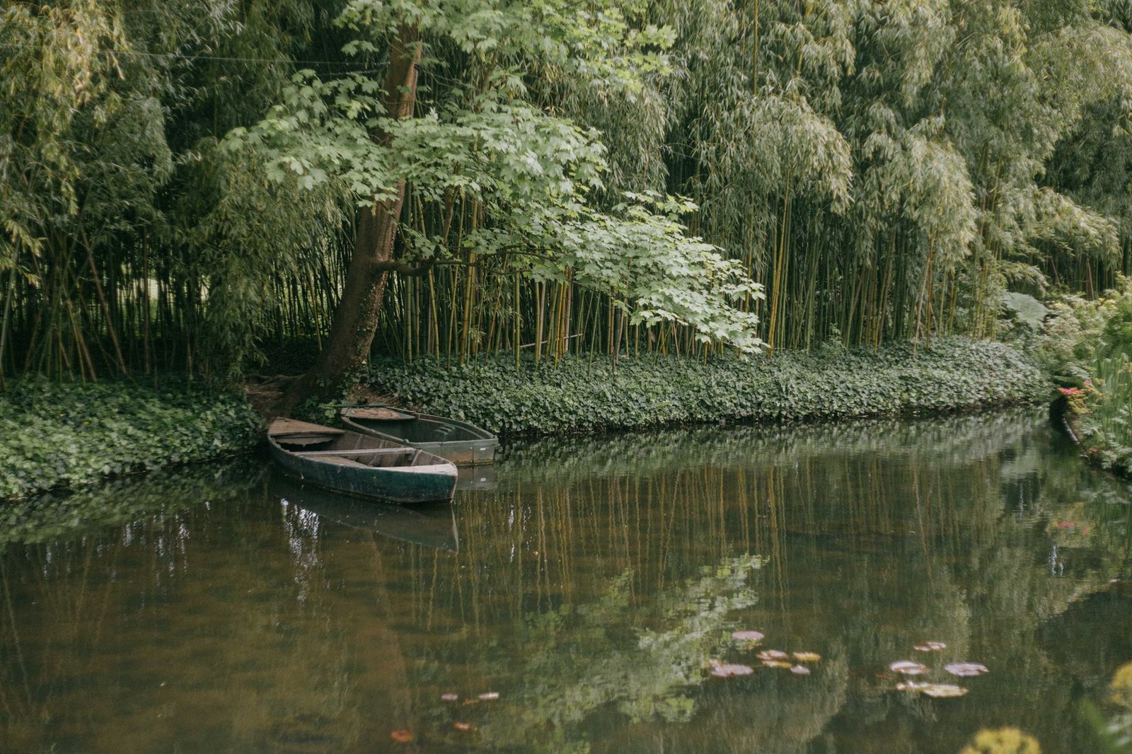 Museu de l'Orangerie: Vale a Pena? Ingressos, O Que Ver e Dicas 2 Ambiente de museu ligado a uma visita de arte impressionista em Paris