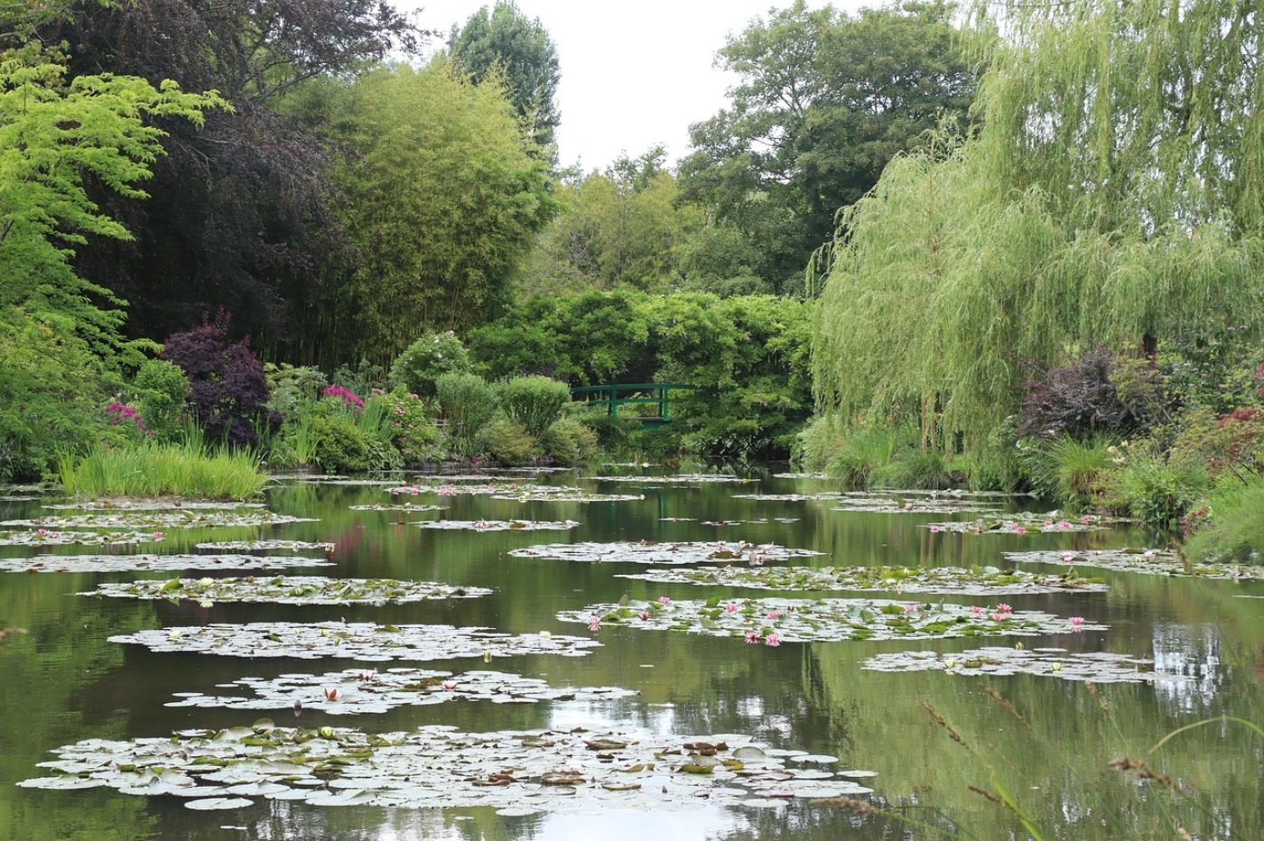 Giverny: a Casa e os Jardins de Claude Monet Perto de Paris 3 Nenúfares flutuando no lago japonês dos jardins de Giverny
