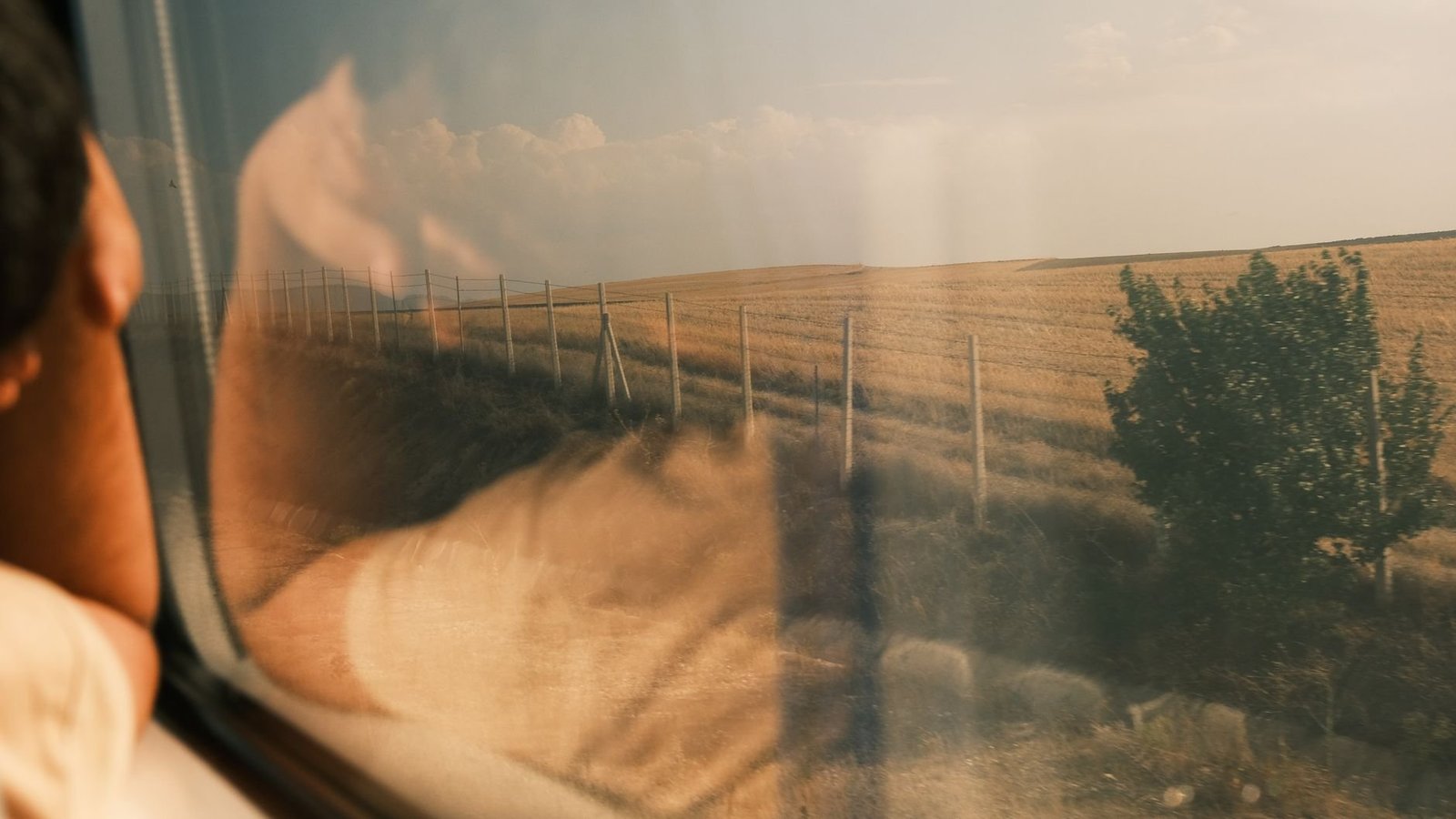 TGV: Viagens de Um Dia Saindo de Paris 4 Paisagem de campos da França vista pela janela de um trem em movimento