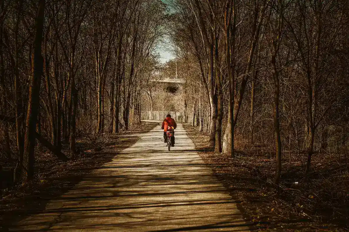 Bois de Vincennes: castelo, lago e bicicleta perto do centro 3 Ciclista pedalando em trilha de floresta com folhas de outono