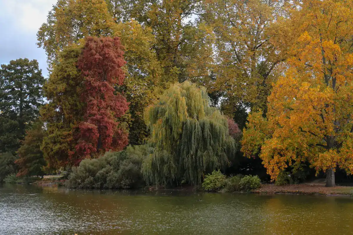 Bois de Vincennes: castelo, lago e bicicleta perto do centro 2 Lago do Bois de Vincennes cercado por árvores em tons de outono