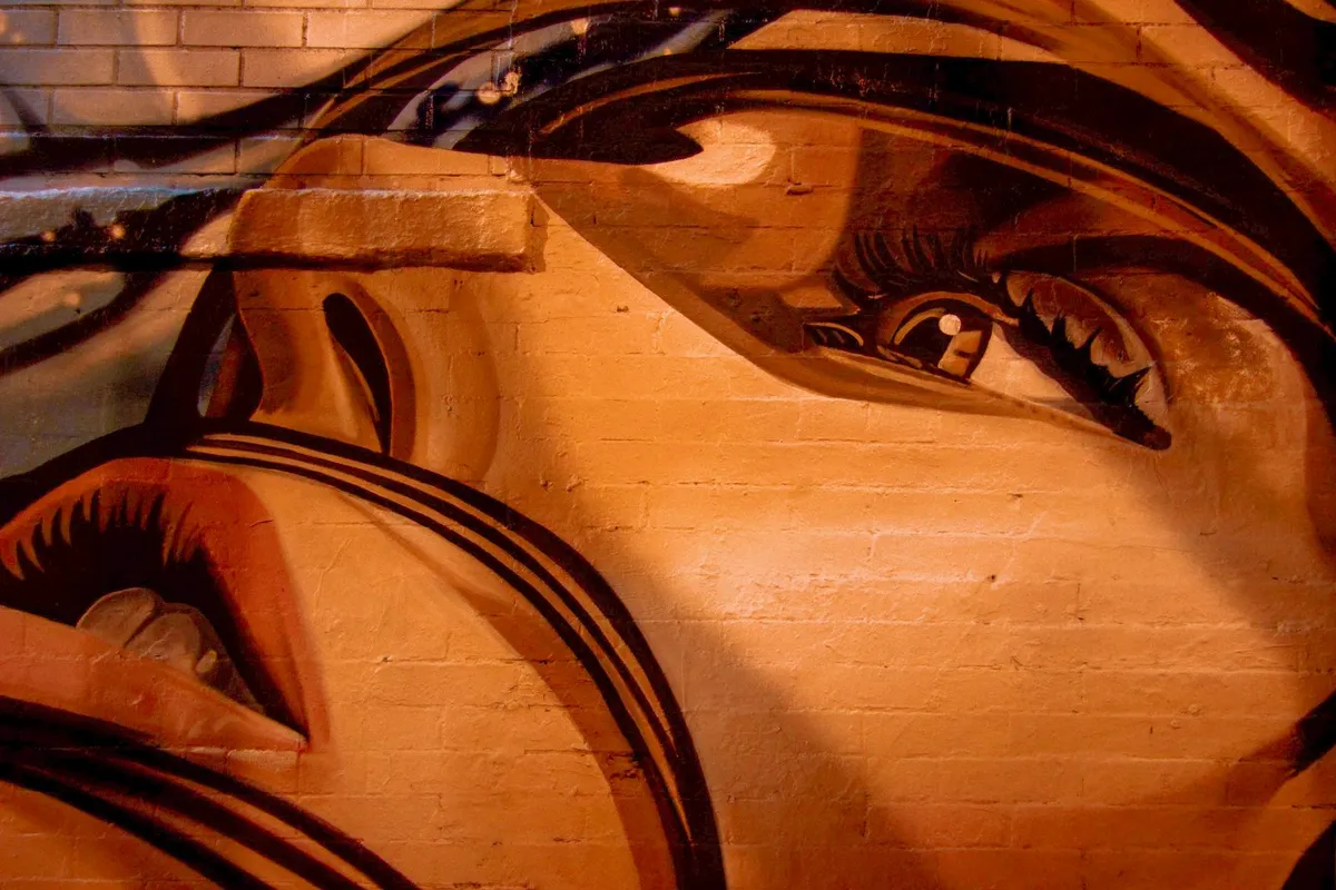 Street art em Paris: onde ver murais fora do circuito 2 Pintura de rosto humano em parede de rua parisiense
